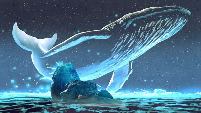 image de base de l'album Whale Blue Dream