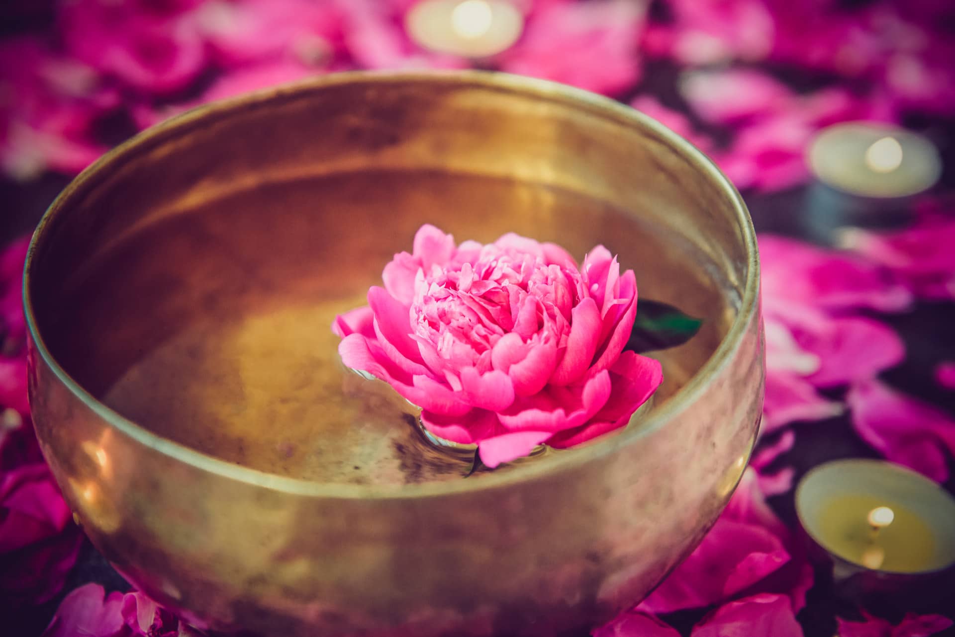 Bol tébétain et fleur de lotus rose pour le Cercle de Chant de Mantras