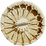 Tambour chamanique favicon_150 Tambour chamanique pour la Formation